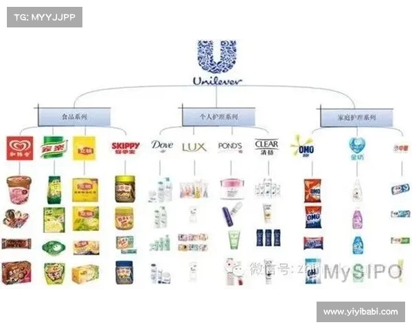 英超官方赞助商背后的战略布局与品牌价值提升解析 英超官方赞助商背后的战略布局与品牌价值提升解析